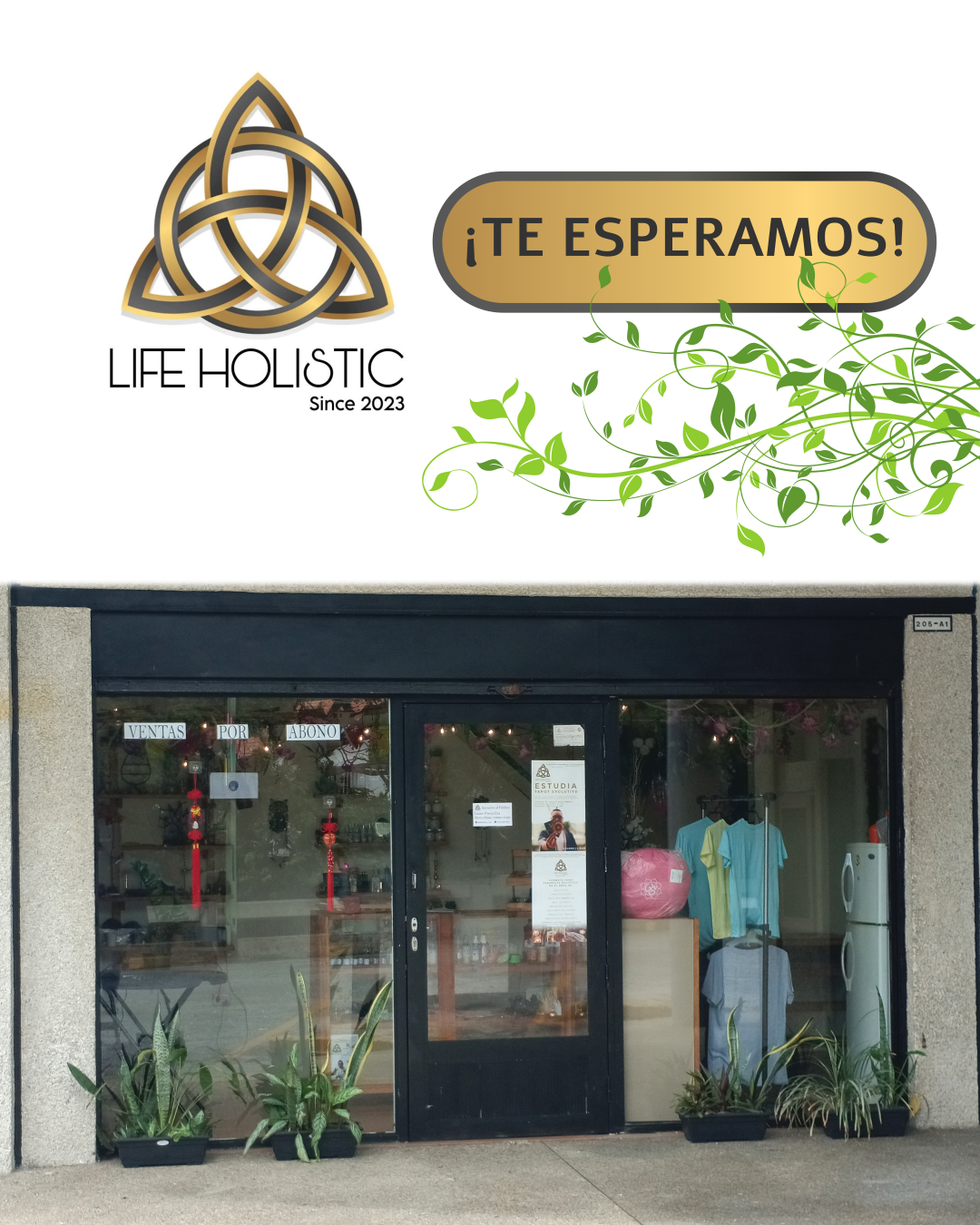 Life Holistic
